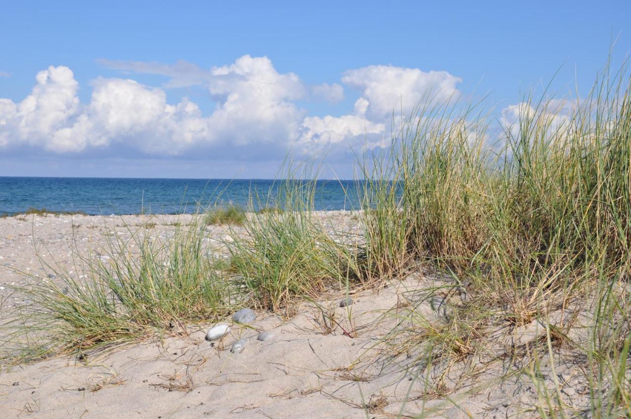 Burgtiefe Suedstrand "Duenennest" Fehmarn Bagian luar foto